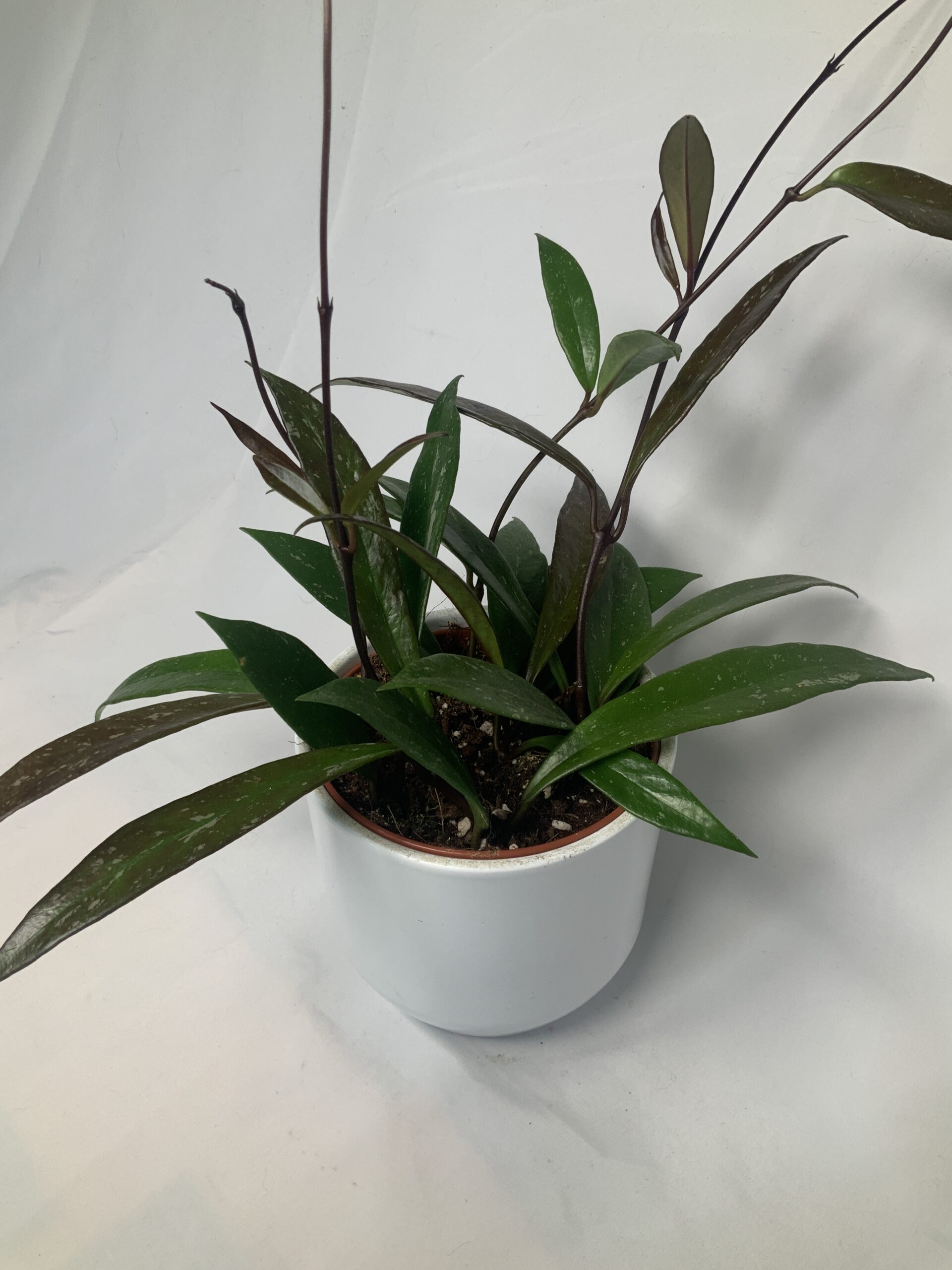 16DBAD36-003A-4431-B35C-A811B4AB0C27