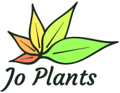 Jo Plants