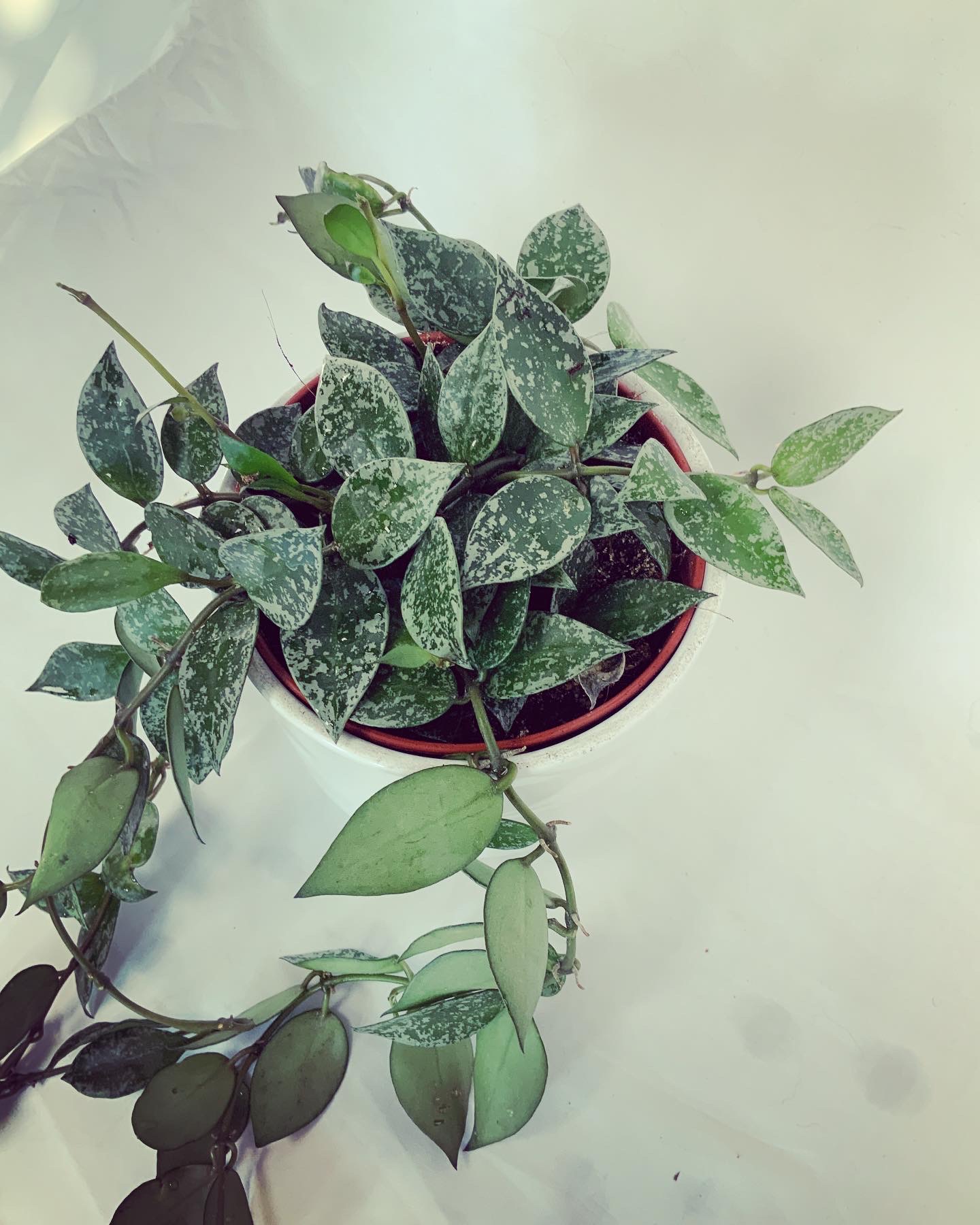 0734FEF4-64E0-4F9B-BB65-4778CDD86B7E