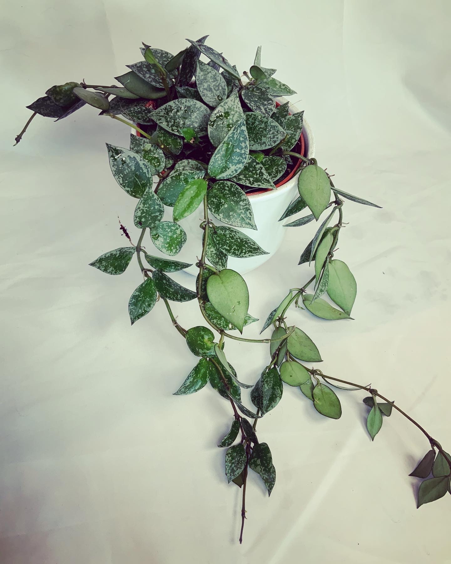 2AD04608-892D-40C2-BE84-CF75BABC0BA6