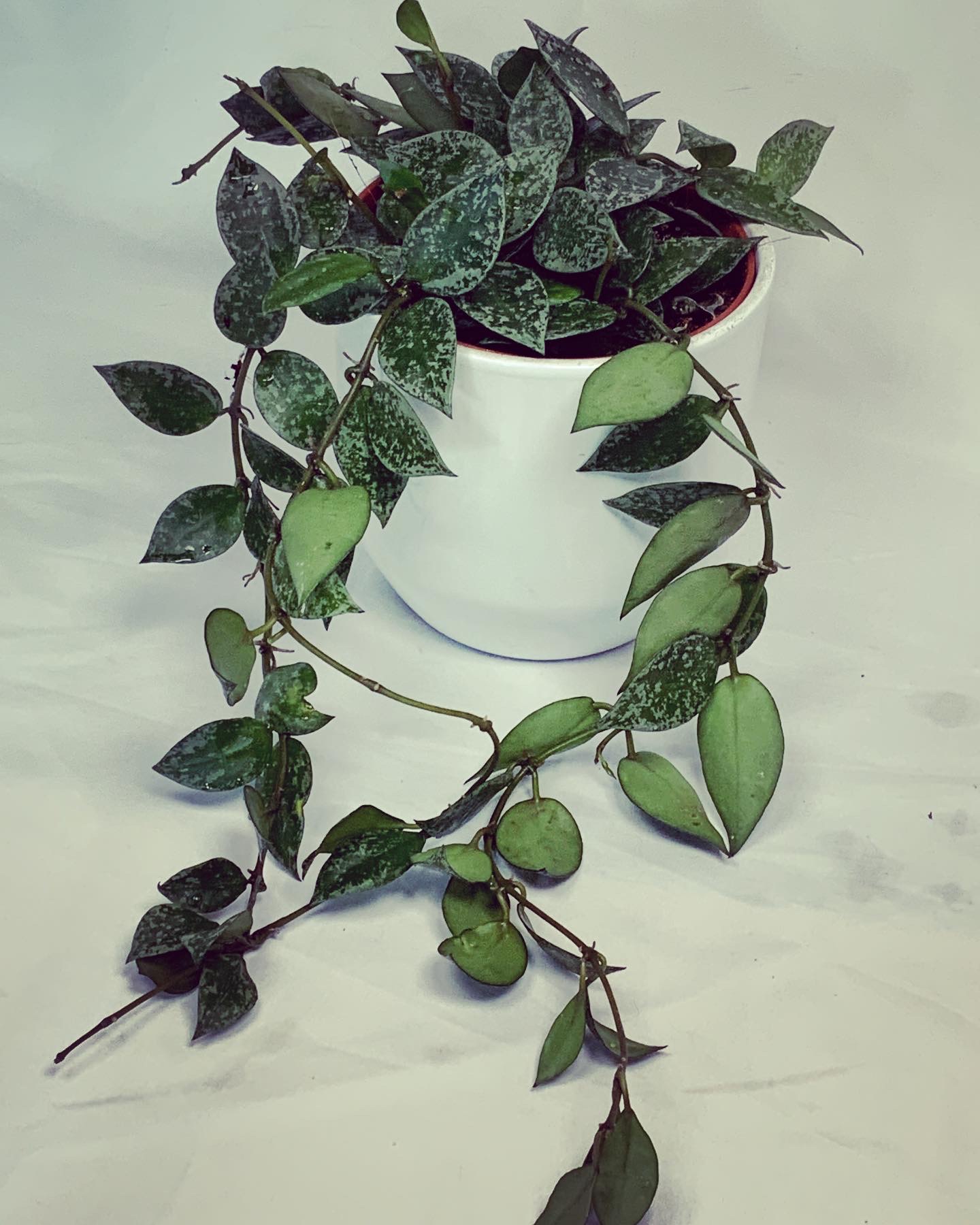 5047C9AC-7387-4AAC-9F9B-7F4DDDF3A276