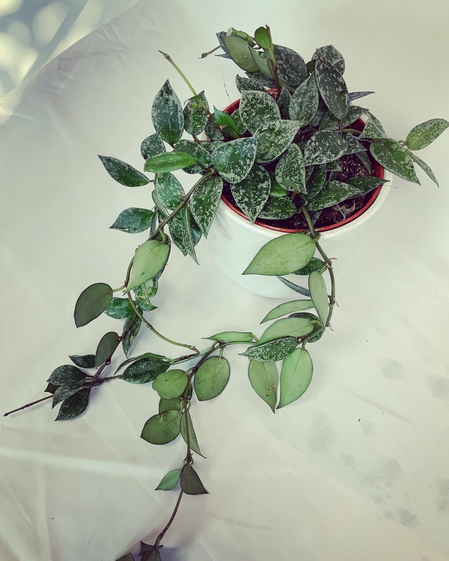 D0E09596-B792-4E06-A4BF-E9FC326881ED