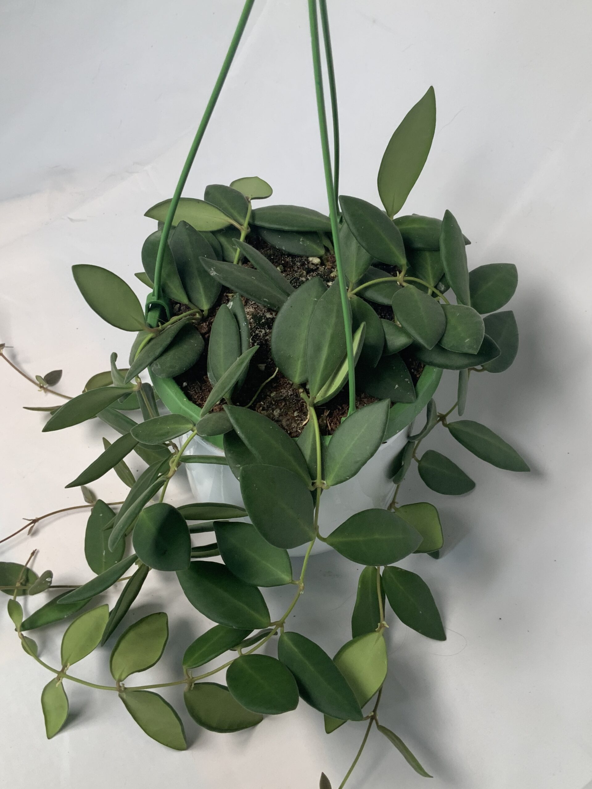 04D439C4-587B-4A01-BC9A-76CF525CEC7D