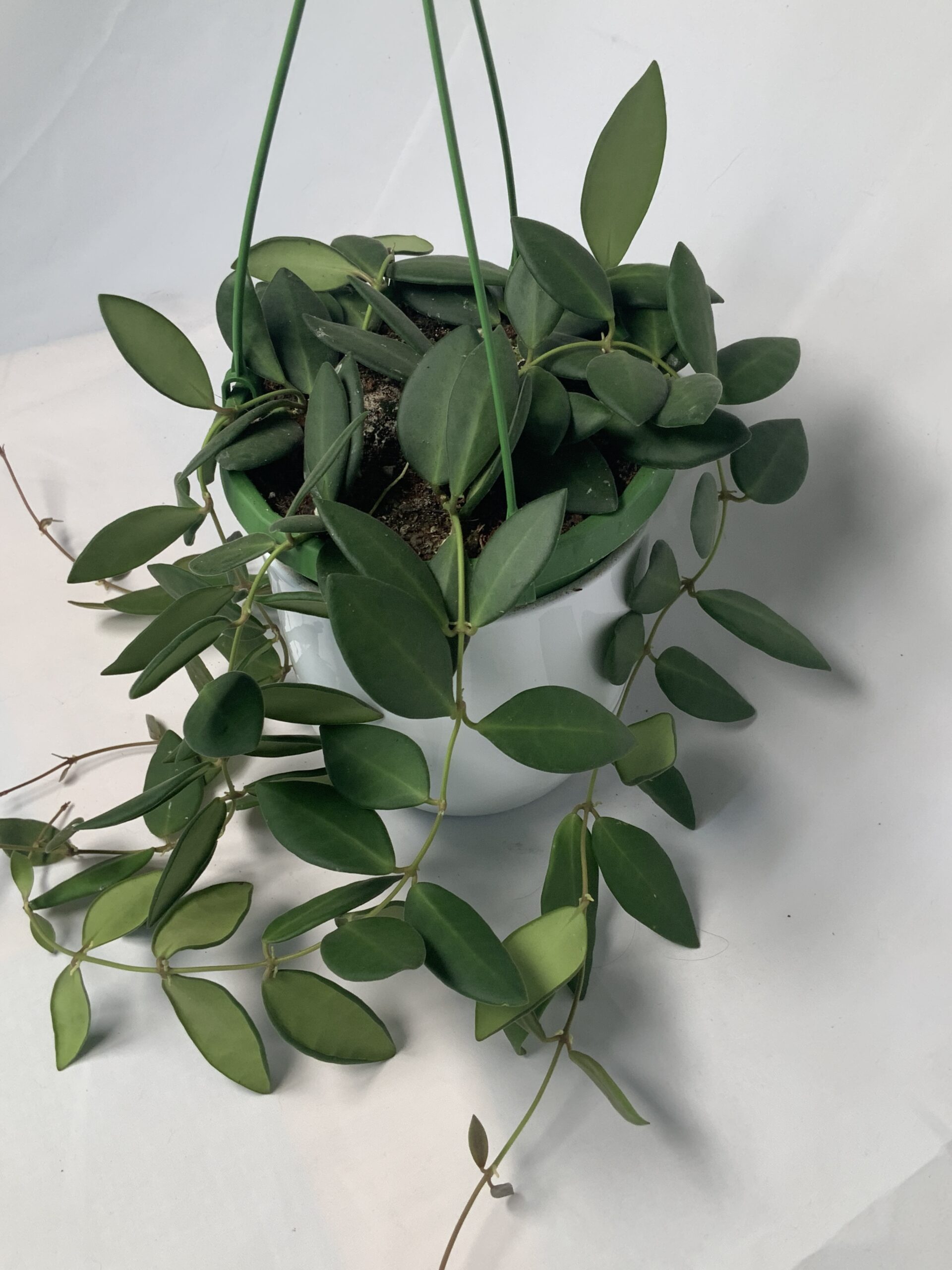 2879DF61-4A72-4B04-9175-111058DBCD06