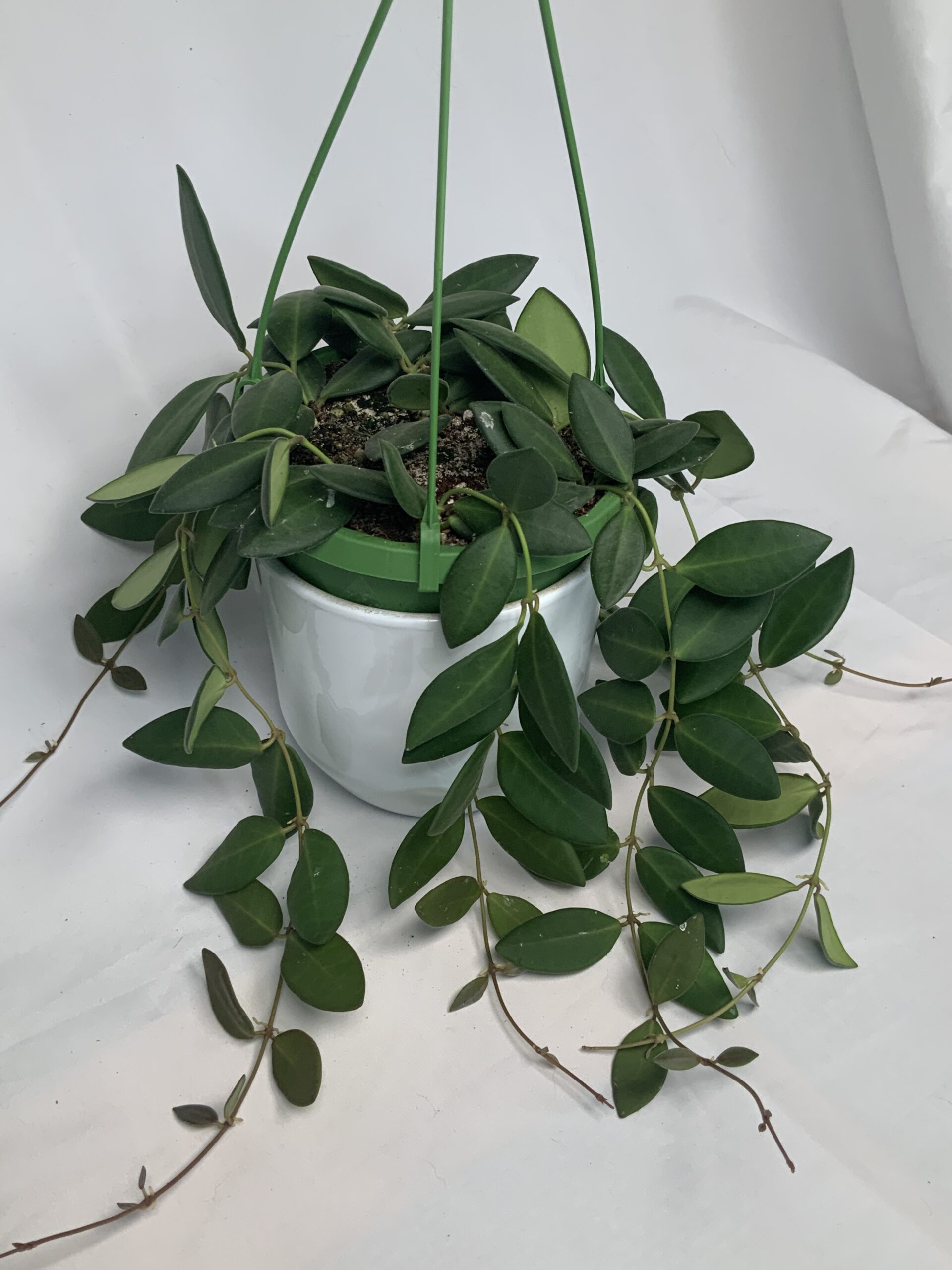 3E1AE77A-7FBD-4FBC-B840-FA7A9EFDA6A9