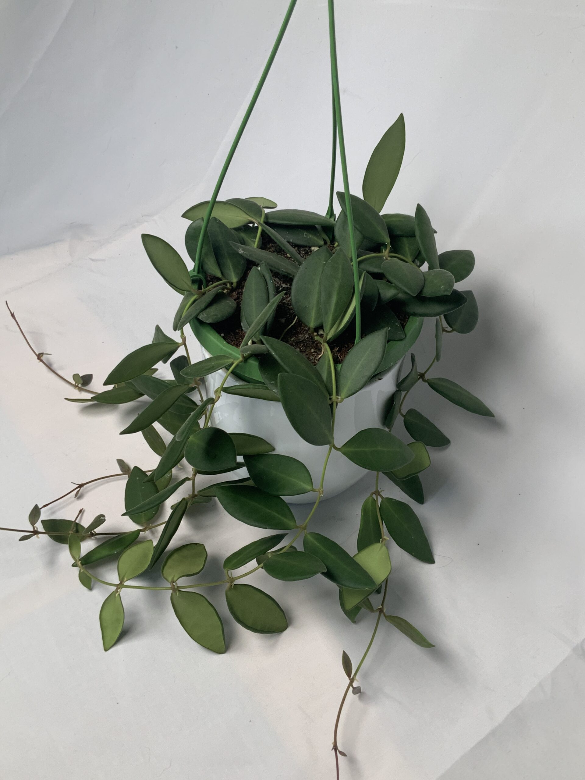 A05AAC37-9C99-4916-B7CA-0ADE0774283F