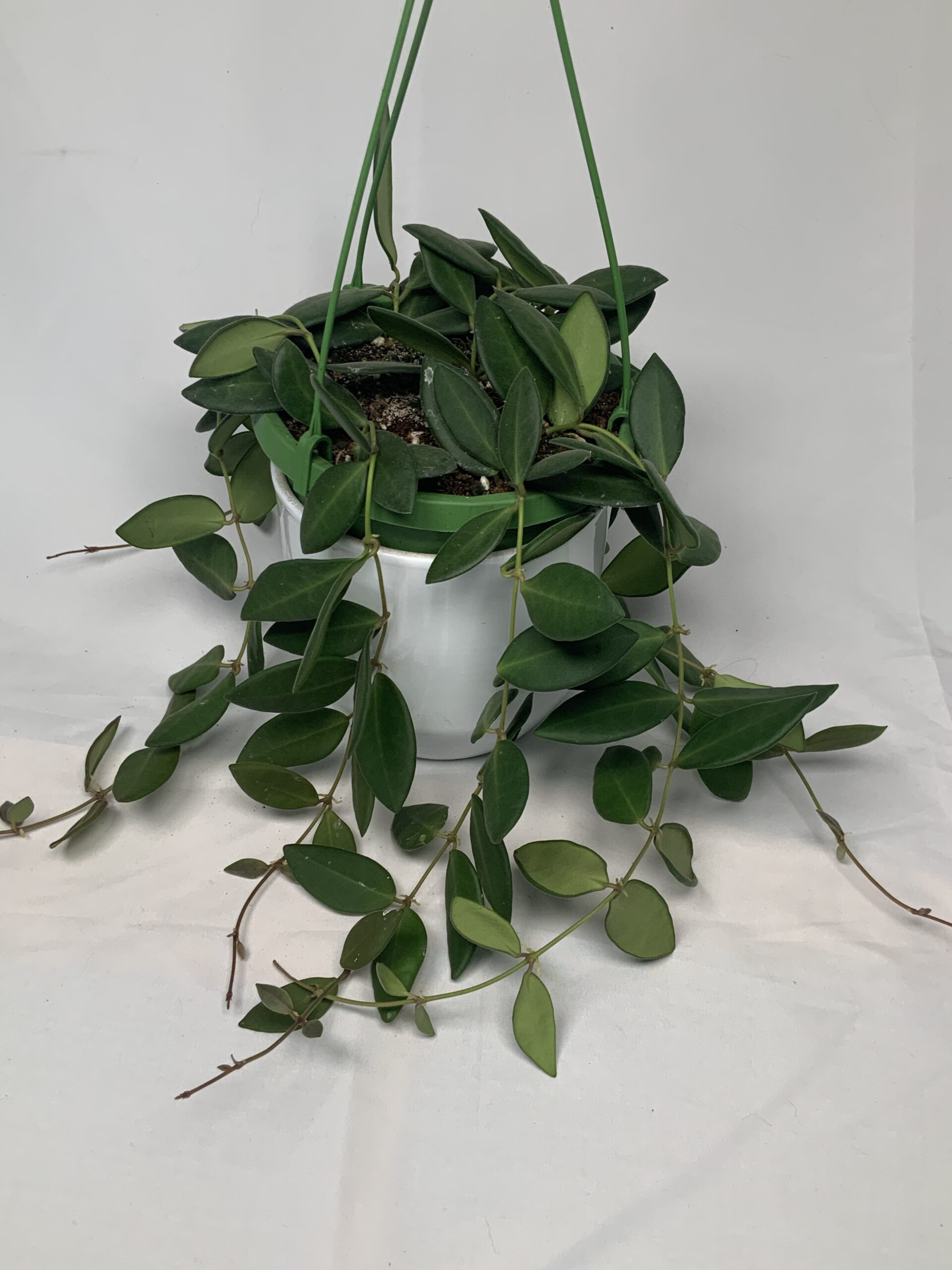 D55068F0-91FD-4B23-90F8-CD70B4FDE378