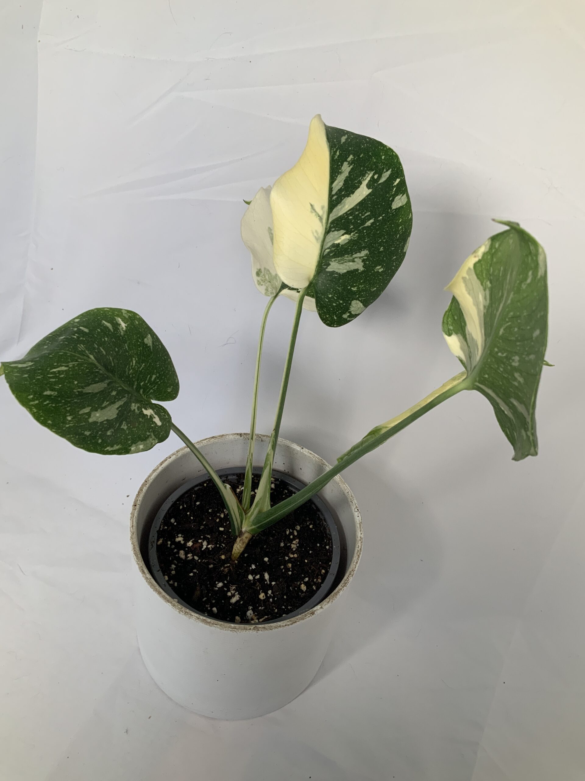 3D728D70-D46F-4D92-A109-242DF8E25334