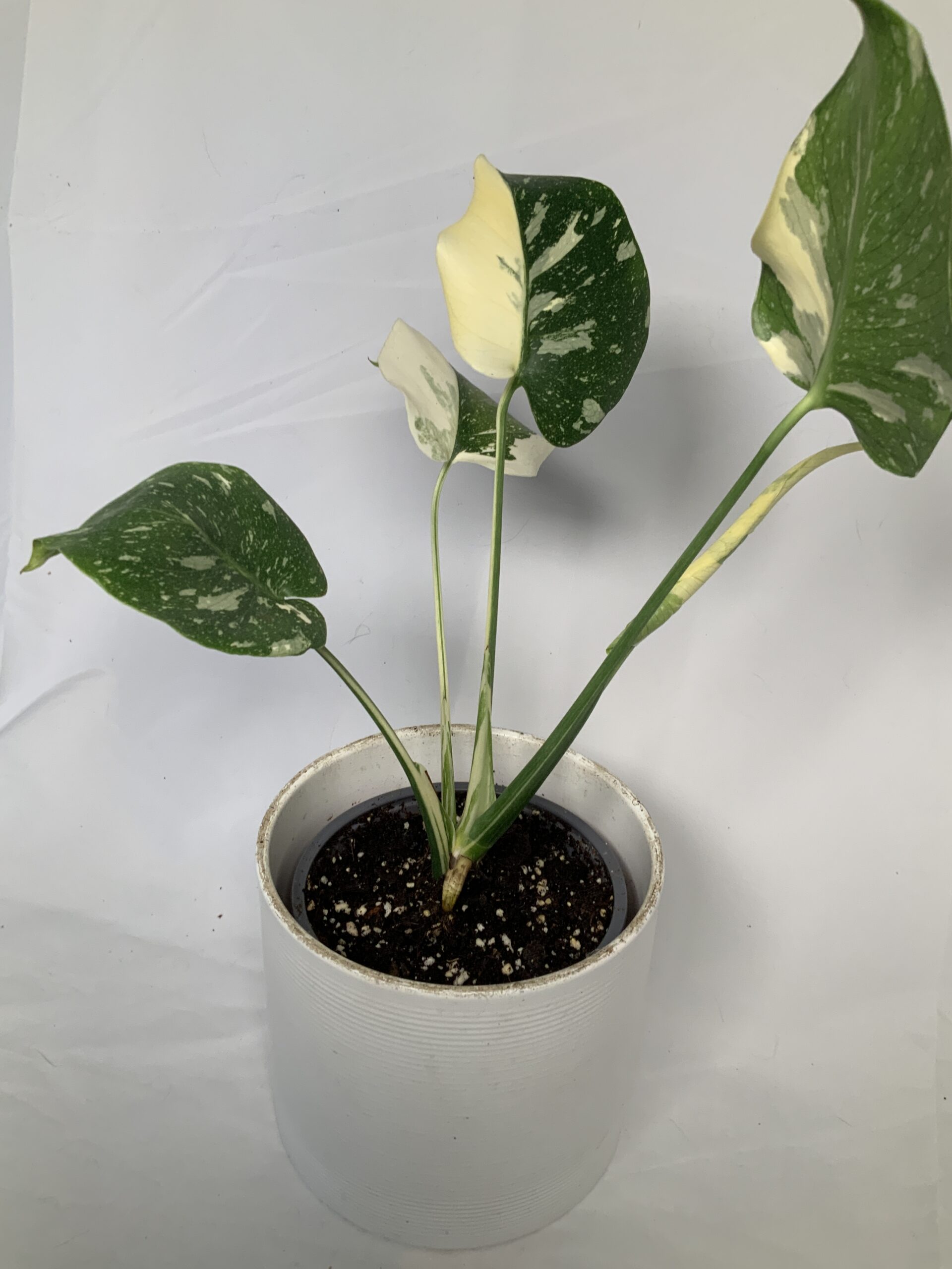 9D76BC5D-AA83-44C3-A72D-0827B800BA33