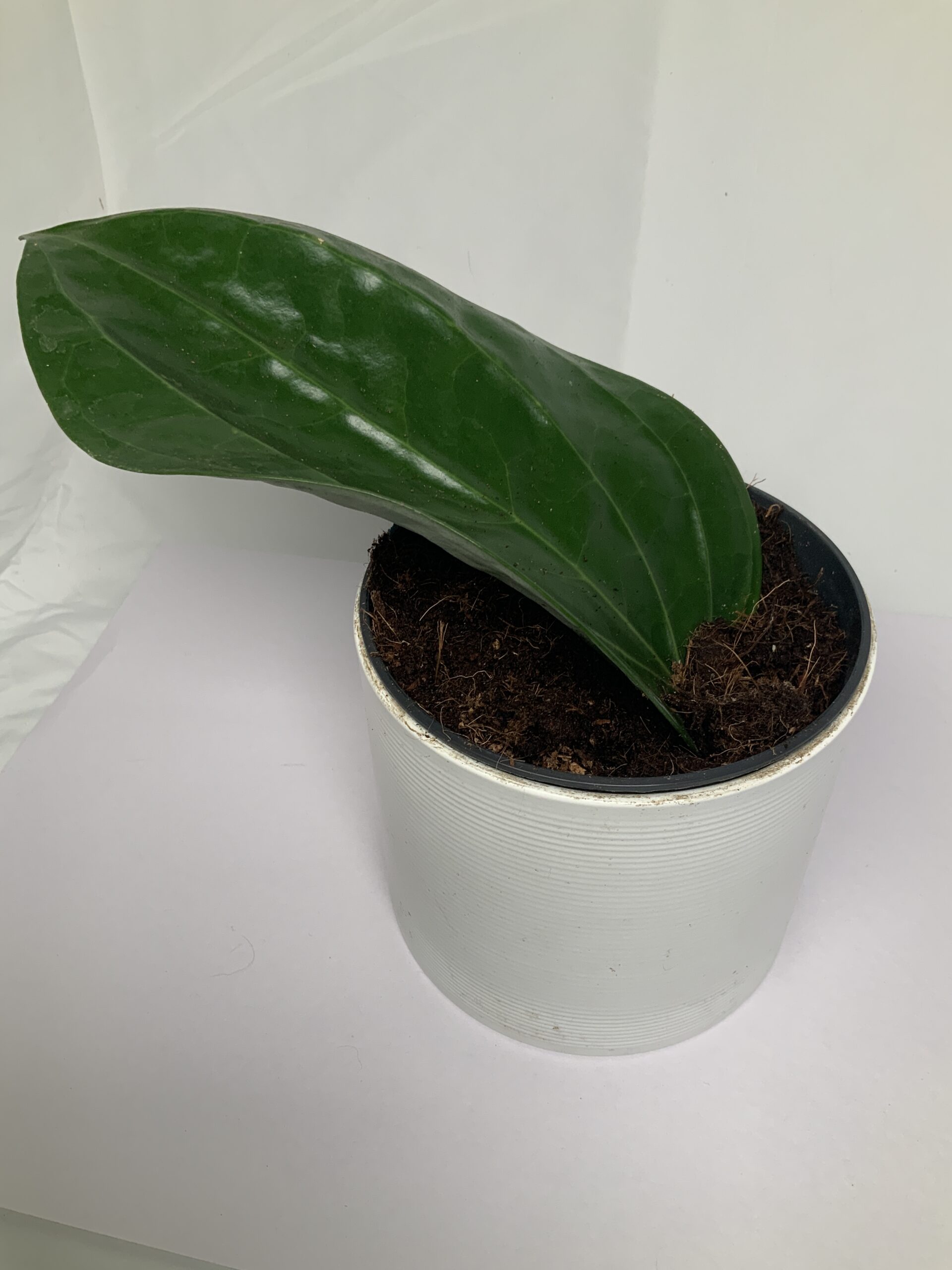 489768AA-3FA2-41DE-AF31-918EB85B98D3